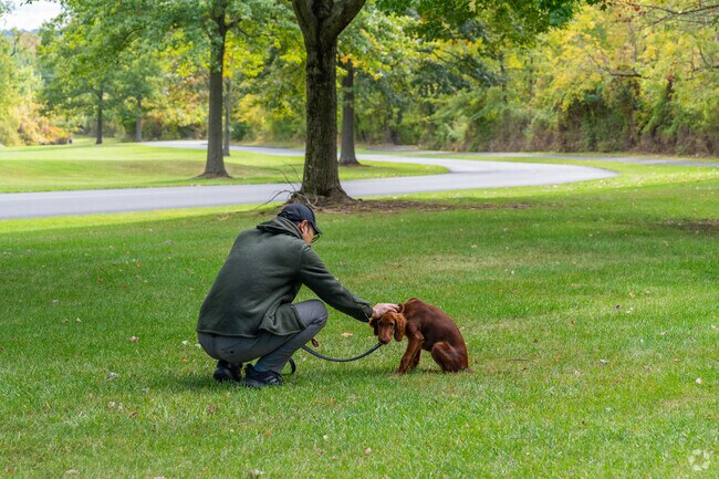 Residents take their puppies out for a day at Spring Valley Park in Montgomeryville Township.
