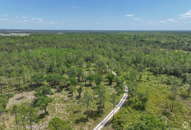 Poinciana locals can brave the trails at The Lake Marion Creek Conservation Area.