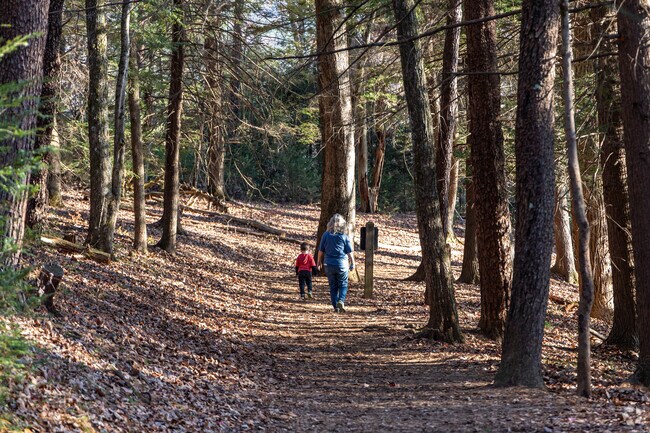 There are countless trails to hike in the Great Smoky Mountains National Park.