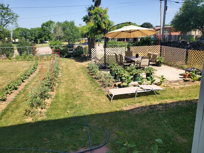 Yard