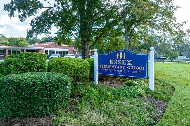 Essex Elementary School has many extracurricular activities.