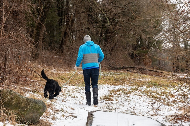 Humans and dogs alike enjoy a quiet walk through Pleasant Meadows in Millis.