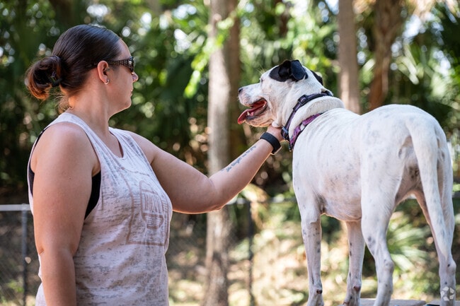Groves families bring their dogs to Reed Canal Park.