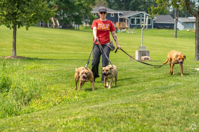 Explore the Lincolnway Village wilderness on the trails at Jones Memorial Park.