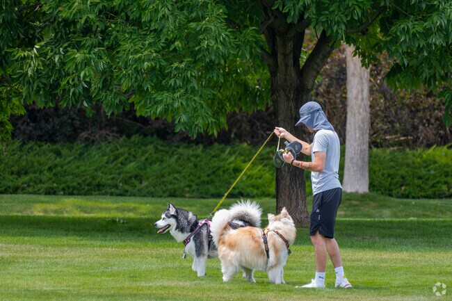 Grab your dogs and go for a walk on any of the numerous paths in Niwot.