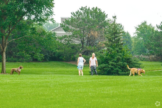 Pet owners can take dogs out to one of the many parks in Far West Algonquin.