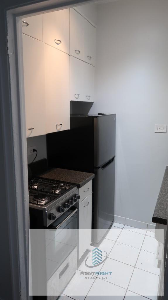 534 W Stratford Place unit 309, Chicago, IL 60657 - photo 1