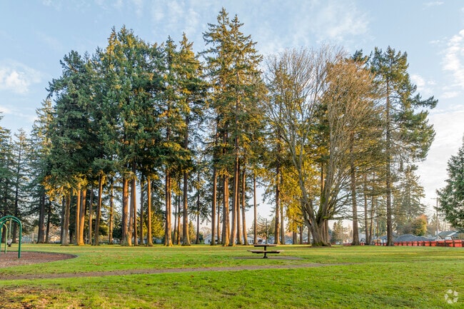 Large old growth trees surround Manitou Park in Lakewood.