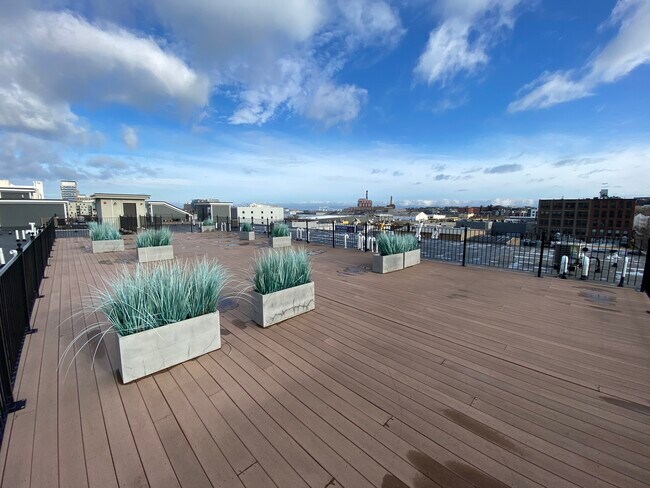 303 D St unit 3, Boston, MA 02127 - photo 2
