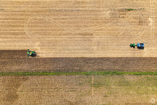 Rural farming life and Fall harvests are common place in Henpeck.