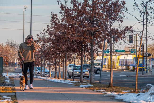 Someone walking their dog in the South Loop neighborhood.