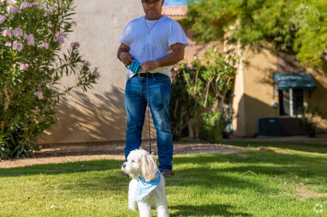 Strolling through Sunrise Palms, every dog leads its owner to new Palm Springs adventures.