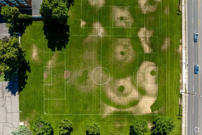 Green soccer fields peppered with trees at Roosevelt Continuation School.