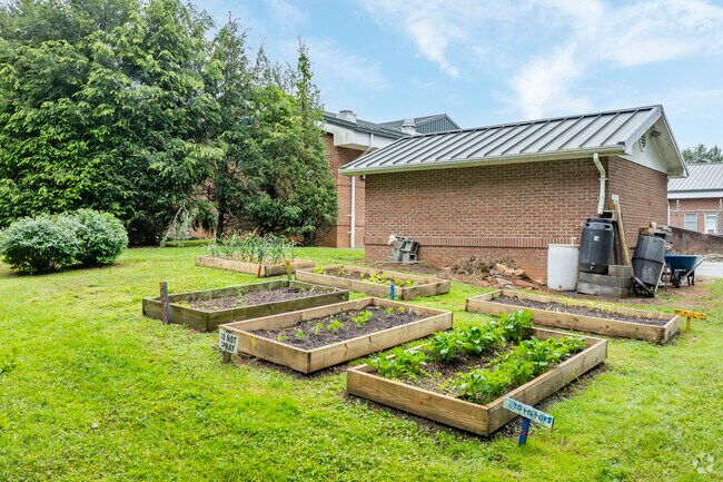 Extracurricular activities such as music, sports, and clubs enrich student learning and engagement at Mabel Elementary School.