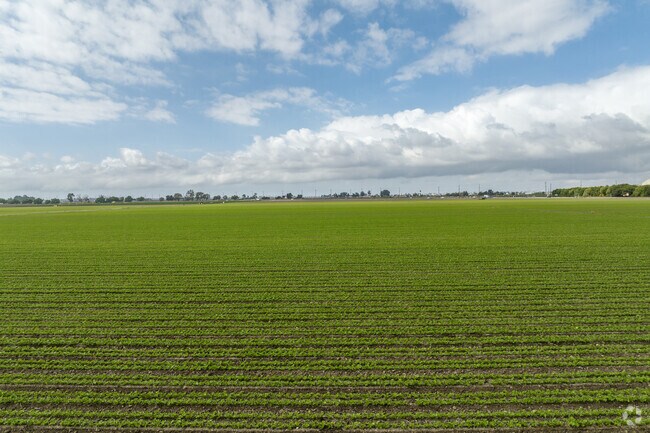 Many locals can find careers working in the agriculture industry in Oxnard.