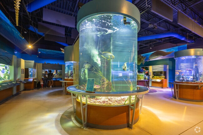Have a fun day at the COX Science Museum and Aquarium west of Glen Ridge, FL.