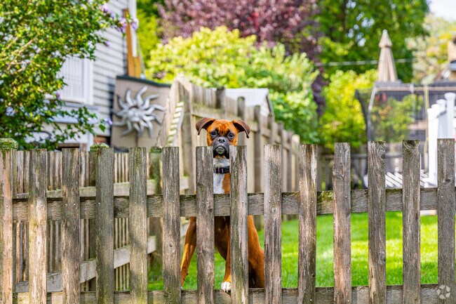 Homeowners and pets enjoy spacious suburban living in Arlington Heights.