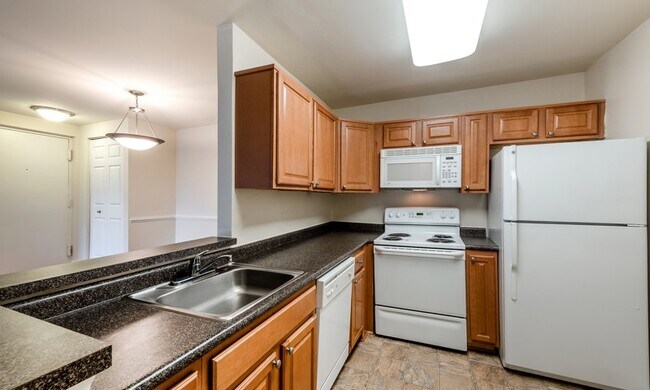 Avana Northlake, Germantown, MD 20874 - photo 7