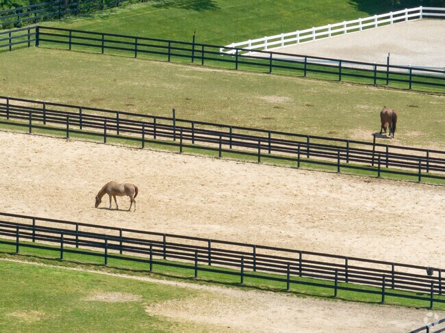 Bridgehampton has plenty of space for your horses to run around.