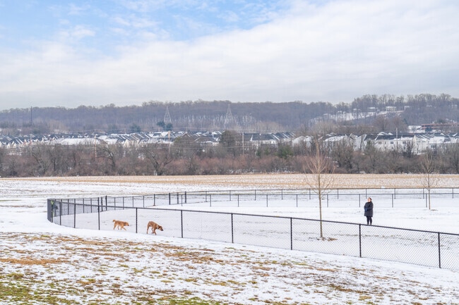 Exton Park is a great place for dog owners, with several dog parks available.