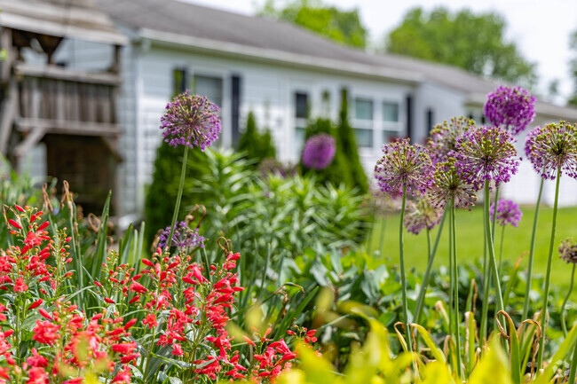 Home owners in Springdale take pride in their home grown gardens.
