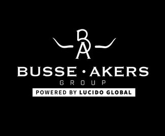 Busse Group Real Estate