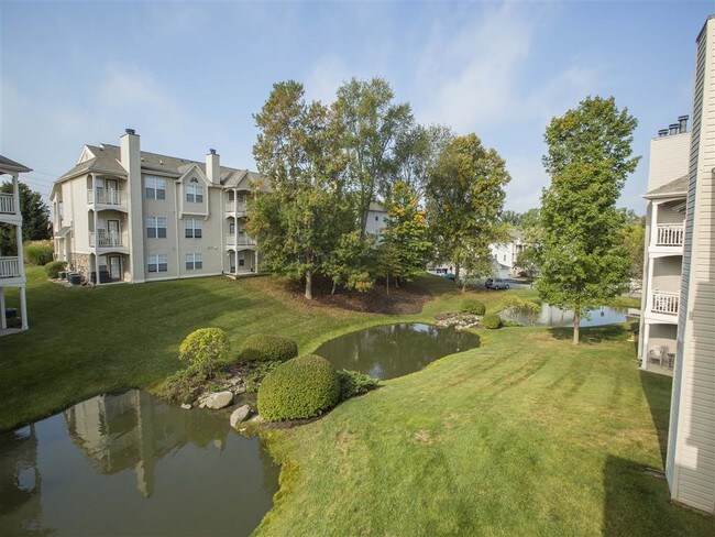 Mature Trees and Green Spaces