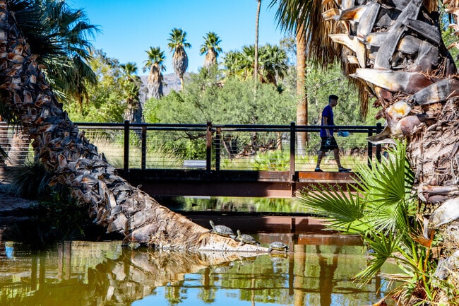 Aqua Caliente is a natural oasis providing residents with easy access to paradise in the desert.