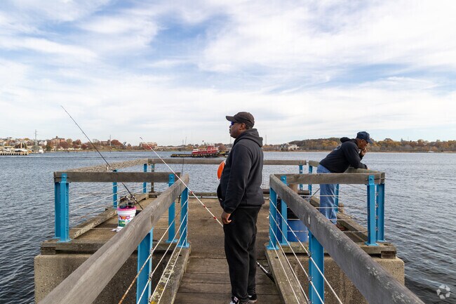 Collier Point Park is a great spot to catch fish and enjoy the waterfront.