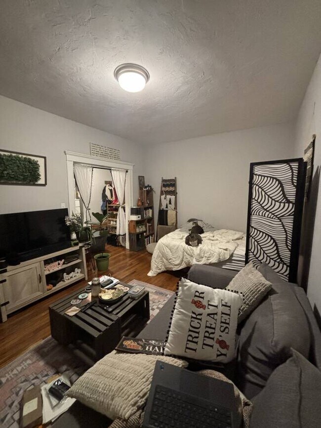 4 Woodstock Ave unit 3, Brighton, MA 02135 - photo 4