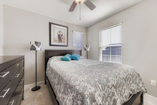 17656 Olive St, Broomfield, CO 80023 - photo 4