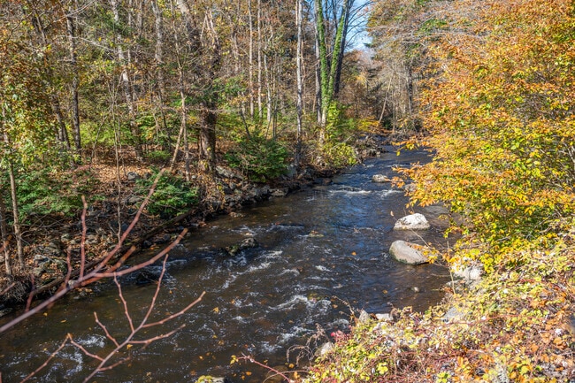 Mianus River State Park in Stamford offers a perfect environment for outdoor exploration.