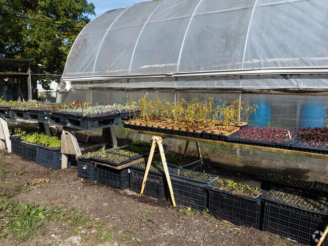 Residents of the Twin Towers area share in the plant starts for their gardens.