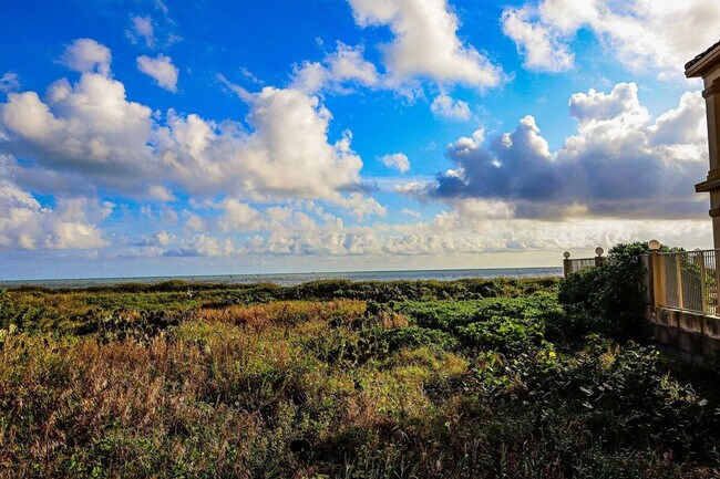 4908 Gulf Blvd unit ID1255598P, South Padre Island, TX 78597 - photo 6