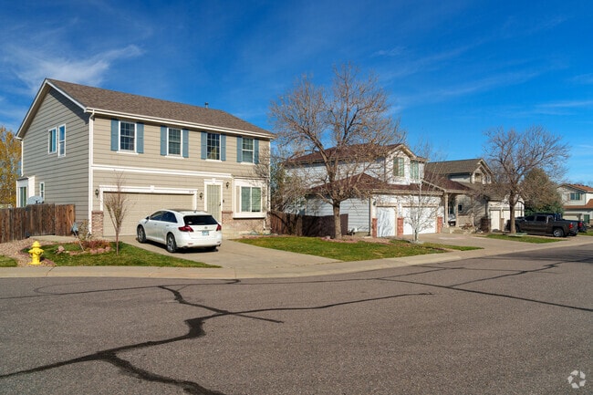 Some home have traditional designs in Willow Trace.