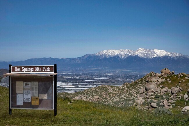 Hiking nearby at Box Springs Mountain Reserve