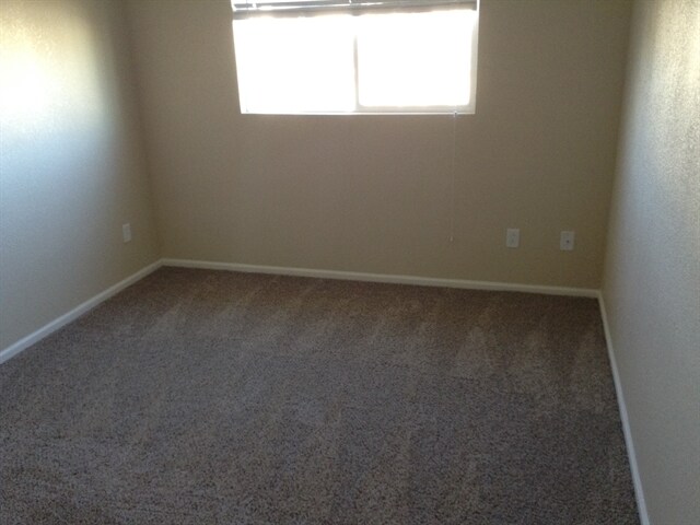 595 E 77th Ave, Denver, CO 80229 - photo 7