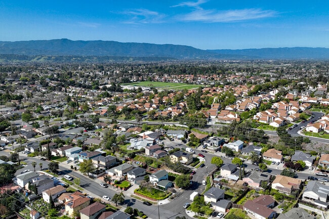Aerial view of Edenvale Neighborhood
