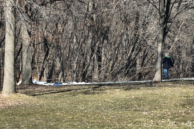 Trails run throughout the nature areas in Bassett Creek.