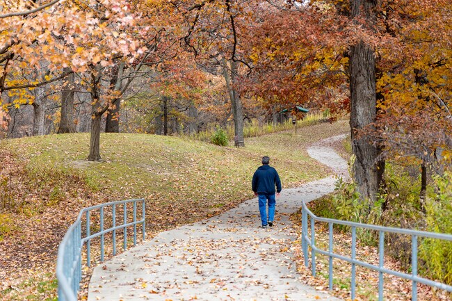 The forests of south Saukie contain miles of walking and hiking trails.
