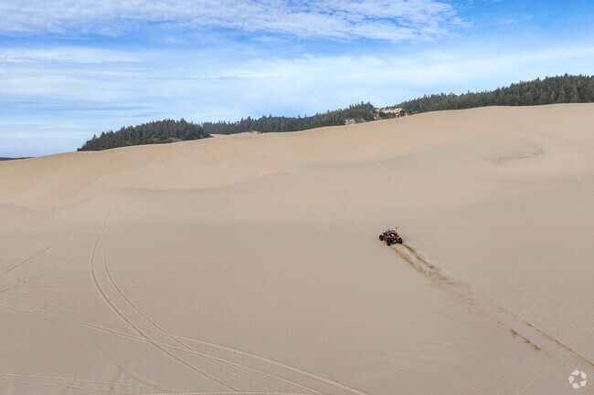 The sand dunes of Winchester Bay are great place to go off Roading.