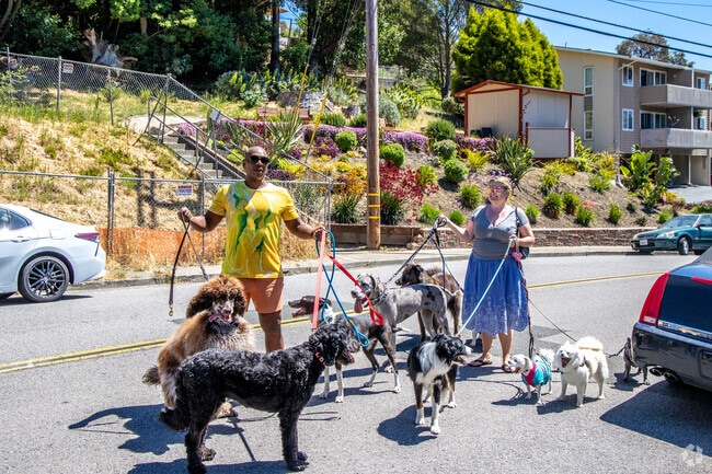 Dog walkers can explore many trails in Marin City.