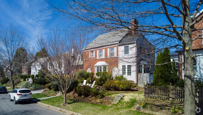 Lines of colonial homes are the bread and butter of American University Park