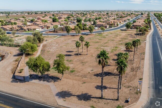 Barkley Ranch Park is lined with palm trees in Yuma.