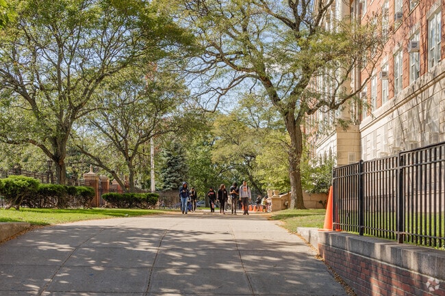 Cypress Hills Collegiate Preparatory School has 386 students in grades 9-12.