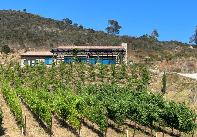 Vineyard