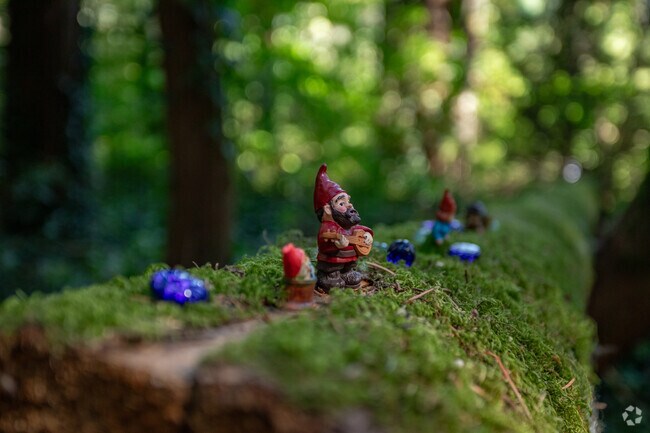 Gnomes can be found a long the forested paths of Burnt Creek Greenway.