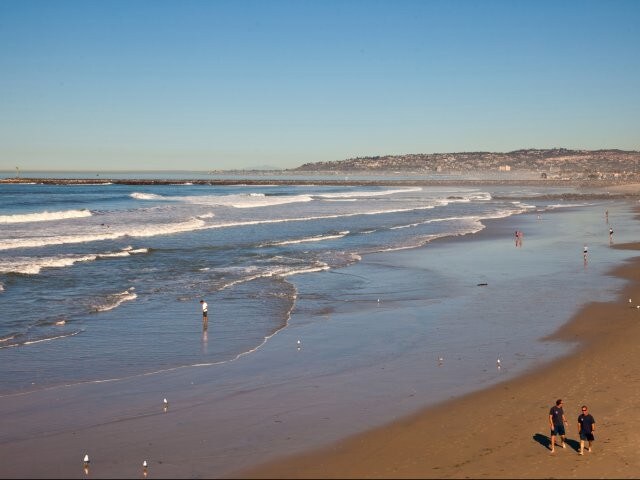 Elan Pacific Palms, San Diego, CA 92107 - photo 7