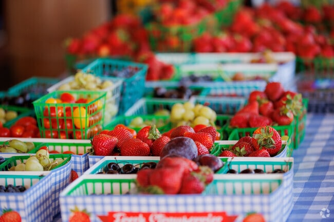 Get fresh fruit and veggies at Clements Ridge Produce and Bakery near the City of Dogtown.