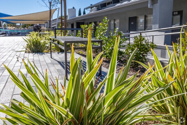 St. Paul's Lutheran Church and School leads to great education opportunities.